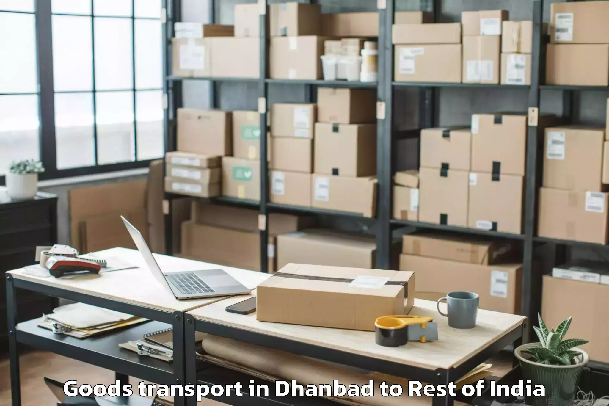 Easy Dhanbad to Sumbal Goods Transport Booking